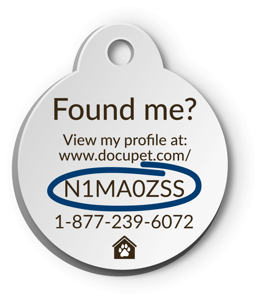 Pet Tag